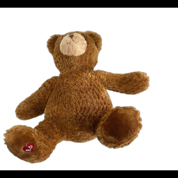 Gund Stuffed Animal Little Brown Bear "2007” (46461) - Picture 7 of 10